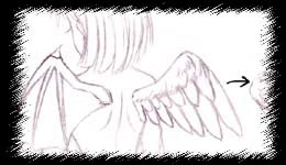 Wings at back